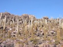A034 Bolivia Uyuni Salt Flats